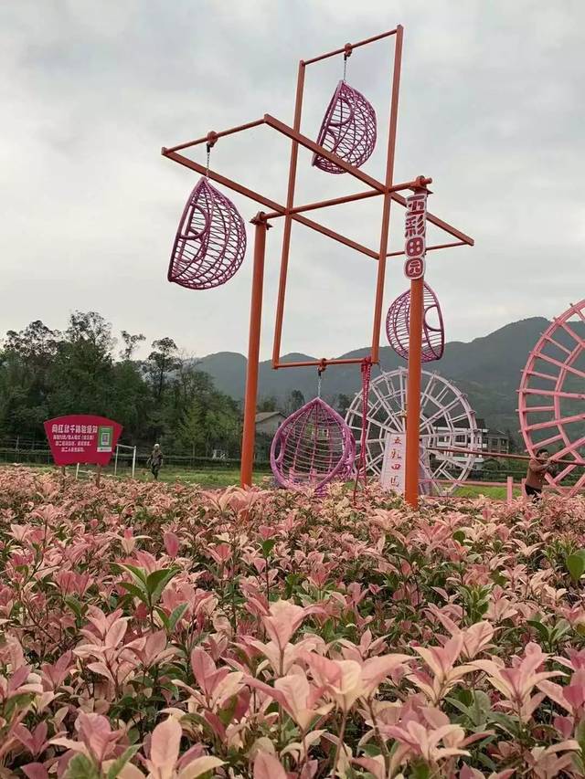 信阳一景区又添打卡新地标！网红鸟巢、高空秋千，向你开撩
